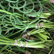 Illustration for article titled How to use garlic scapes in your cooking